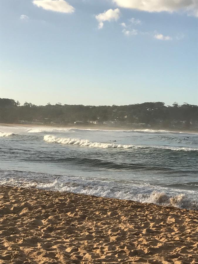 The Beach Hut Avoca Beach Nsw Villa Bagian luar foto