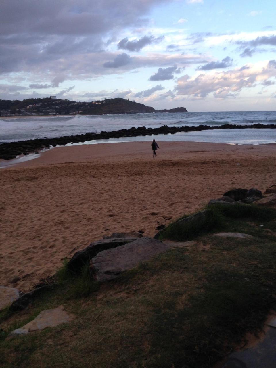 The Beach Hut Avoca Beach Nsw Villa Bagian luar foto